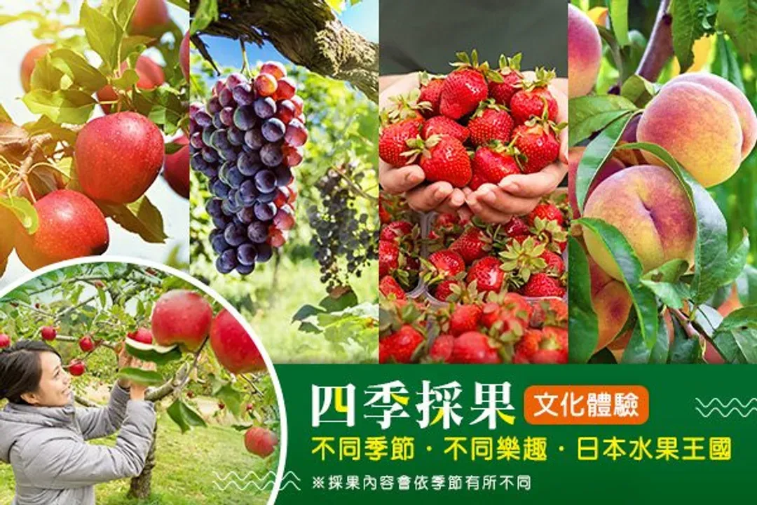 中部季節採果樂