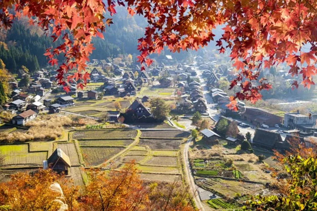 白川鄉合掌村
