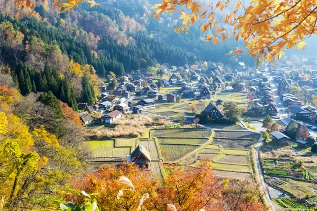 白川鄉合掌村