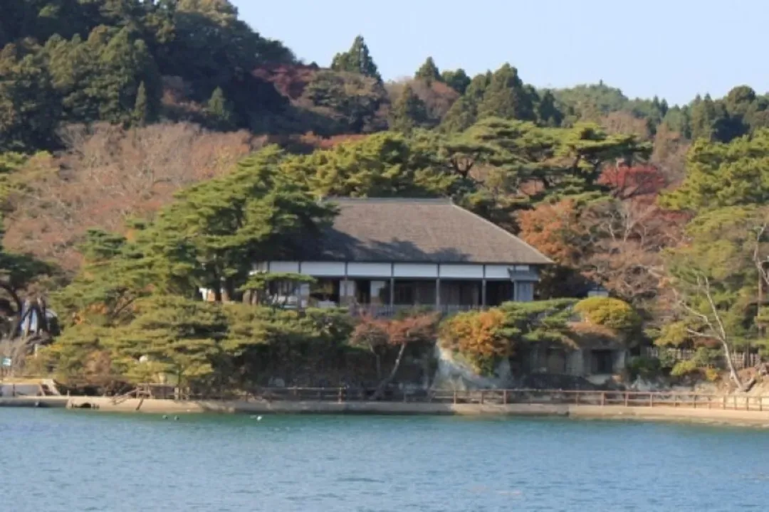 松島灣(遊覽船+抹茶體驗)