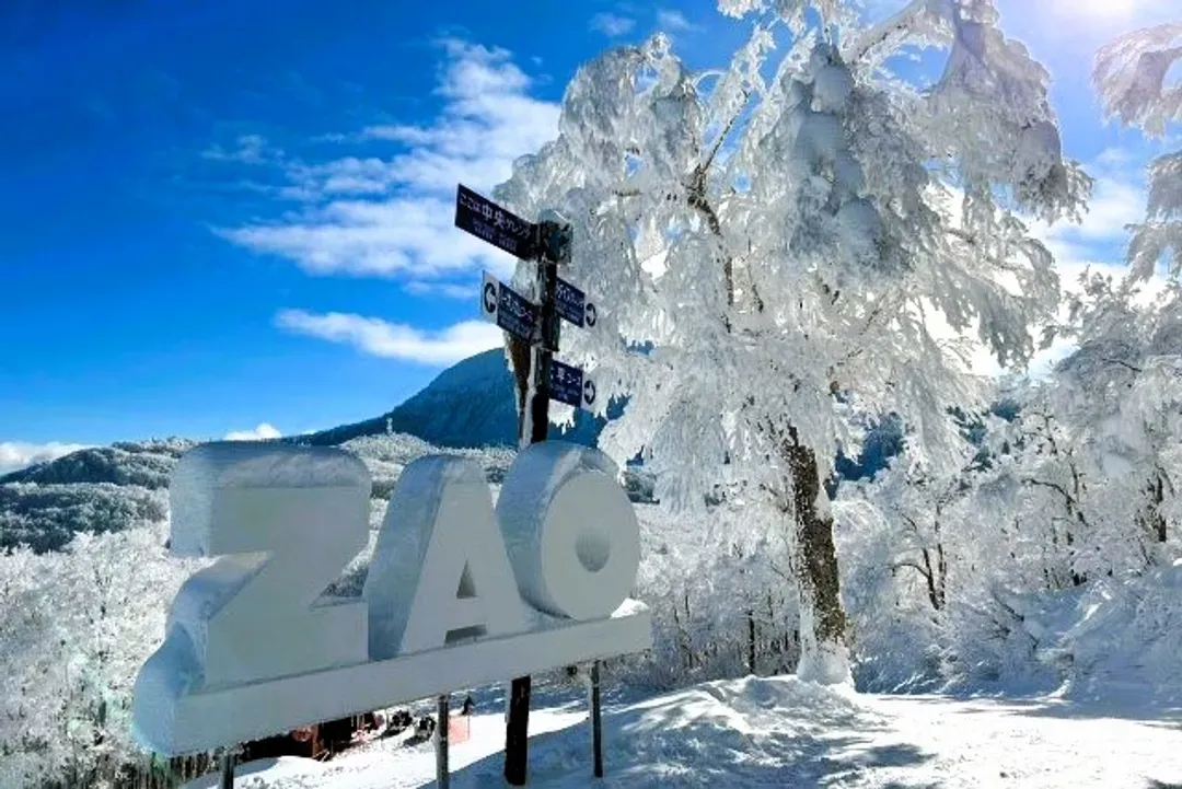 藏王中央纜車(冬季限定霧淞雪景)