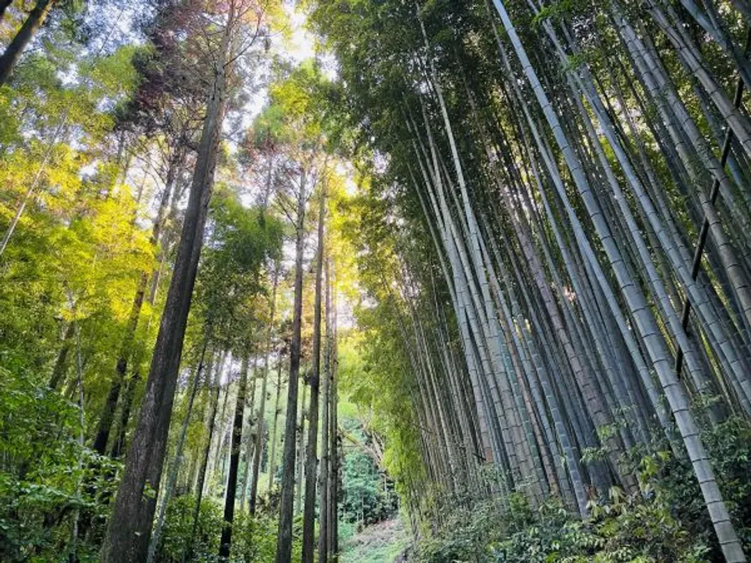 佐賀漫遊