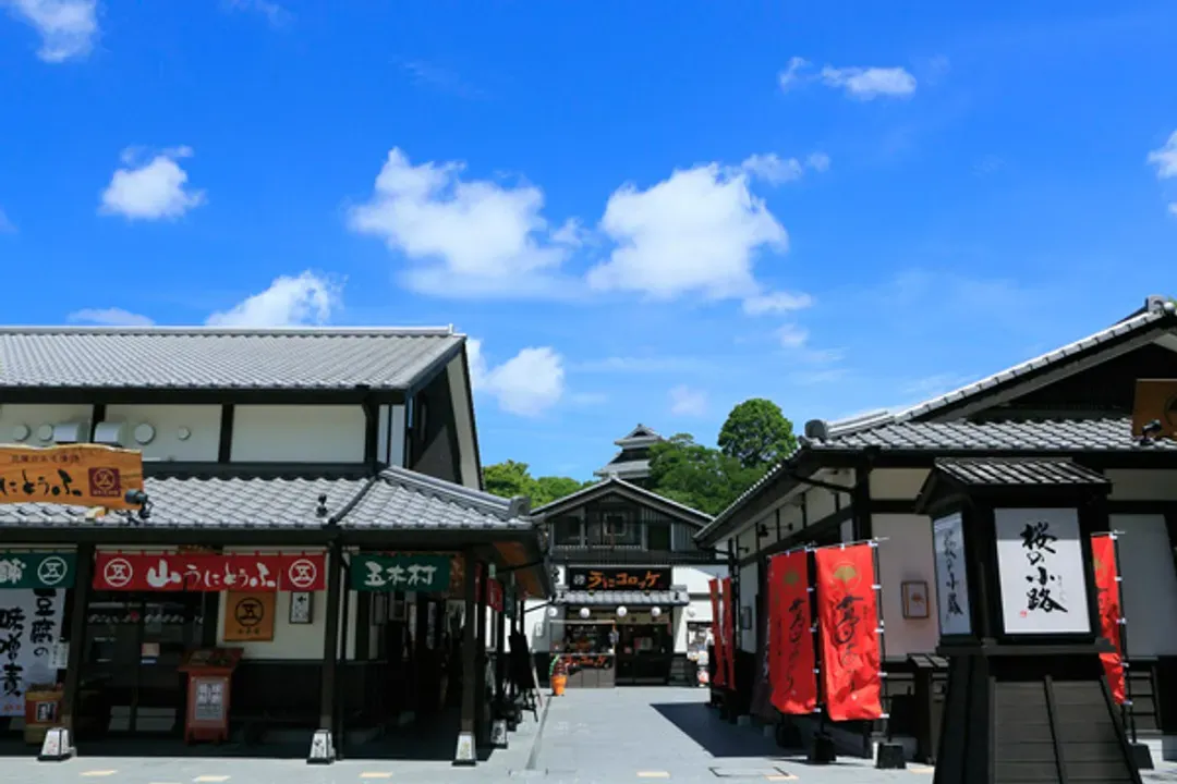 KHH九州鐵道旅行~草千里之濱、稻佐山夜浪漫、長崎熊本漫遊、JR雙星豪華列車五日-10