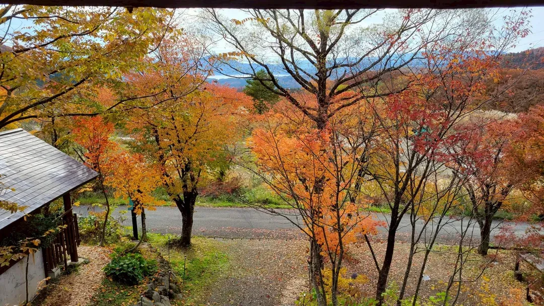 附私人源泉直流溫泉的獨棟度假屋　森林俱樂部 田園-4