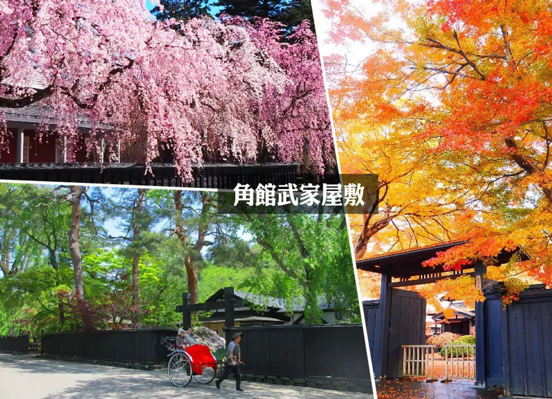 限定促銷東北青森仙台雙溫泉5日.秋田列車.奧入瀨溪流.猊鼻溪遊船.松島遊船.弘前城.觀星纜車-5
