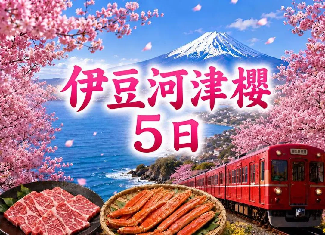 東京伊豆河津櫻雙温泉5日.富士山.天空步道.大室山纜車.伊豆海濱列車.淨蓮瀑布.淺草散策.和牛螃蟹饗宴