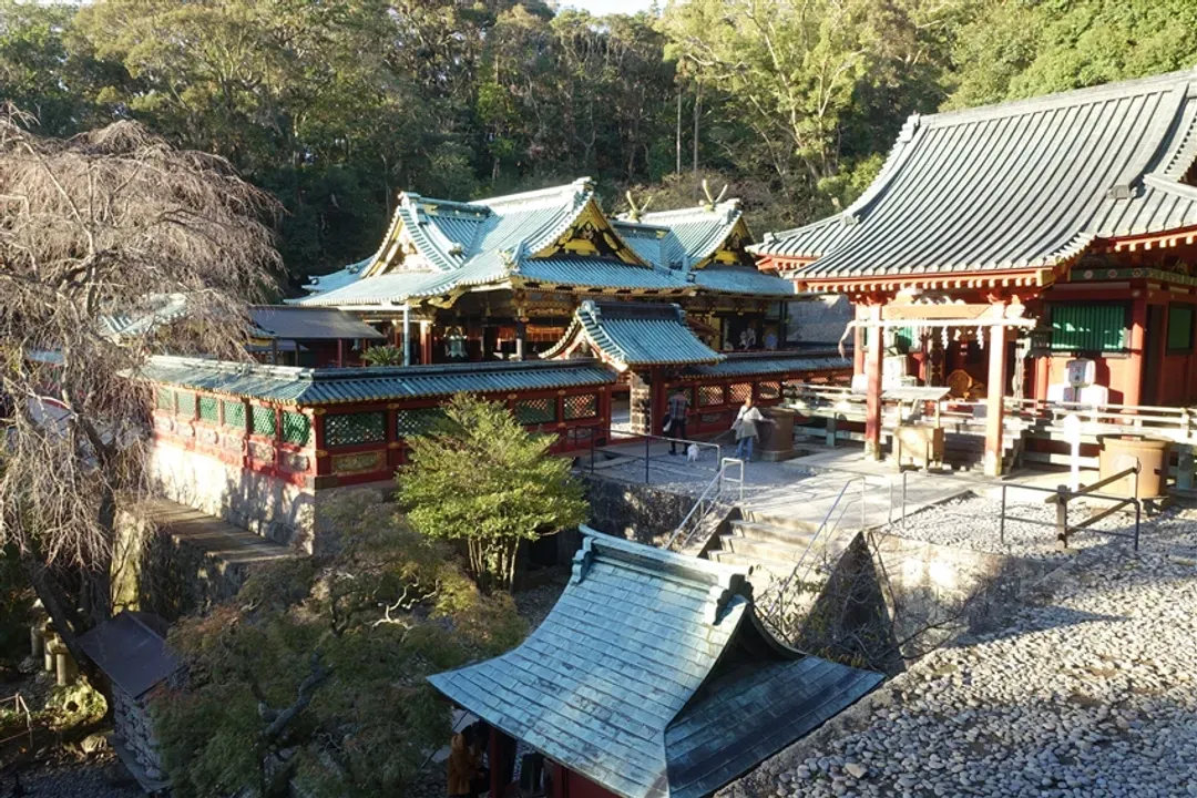 名古屋靜岡雙城｜紅葉秘境～大井川鐵道・奧大井湖上！日本平纜車～富士山絕景.香嵐溪.濱名湖遊船.牧之原茶園.小國神社.岡崎城.溫泉五日｜保住萬怡-7