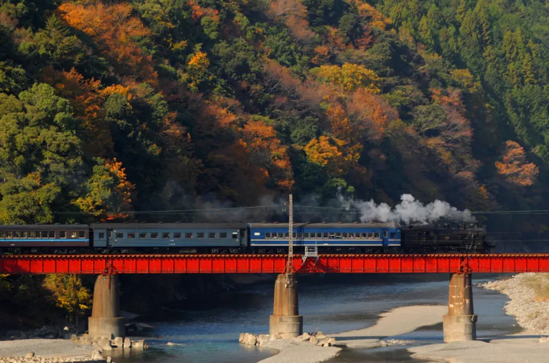 名古屋靜岡雙城｜紅葉秘境～大井川鐵道・奧大井湖上！日本平纜車～富士山絕景.香嵐溪.濱名湖遊船.牧之原茶園.小國神社.岡崎城.溫泉五日｜保住萬怡