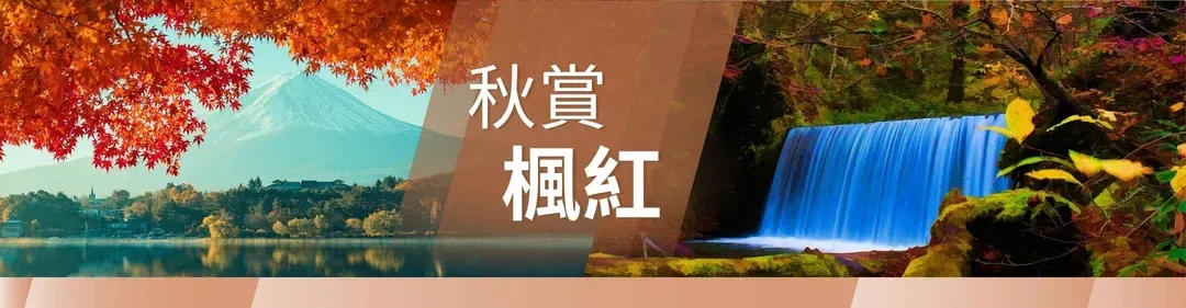 賞楓