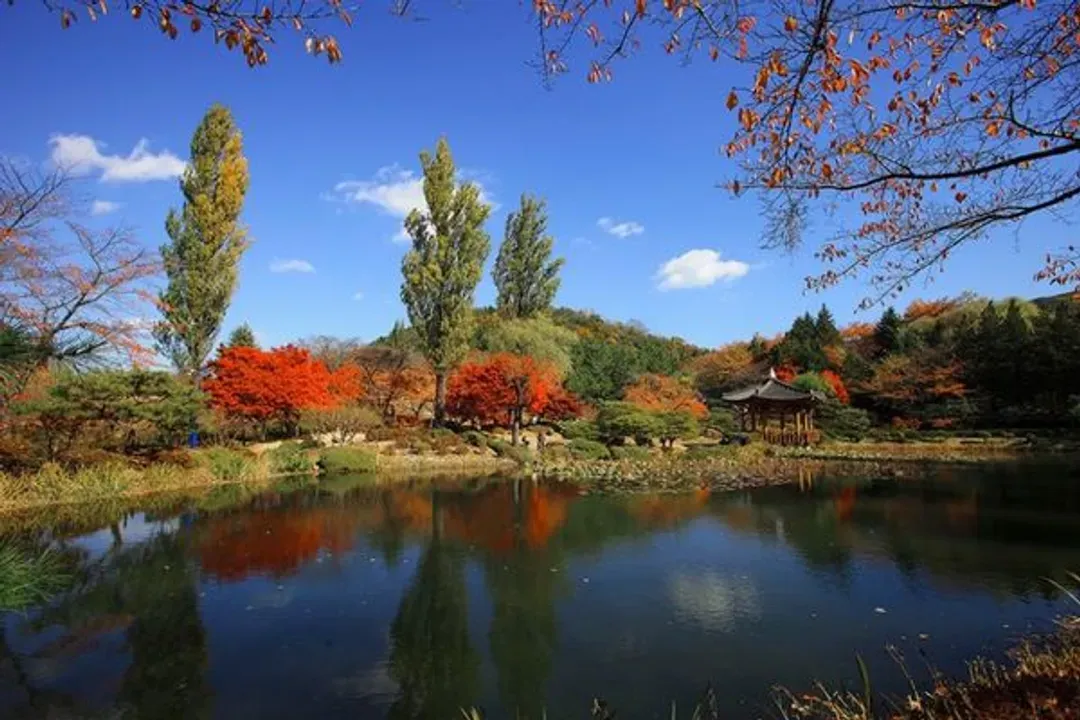 釜山慶州大邱賞楓｜八公山纜車.梵魚寺.佛國寺.甘川洞.海雲台海岸列車五日｜星宇航空｜台中出發