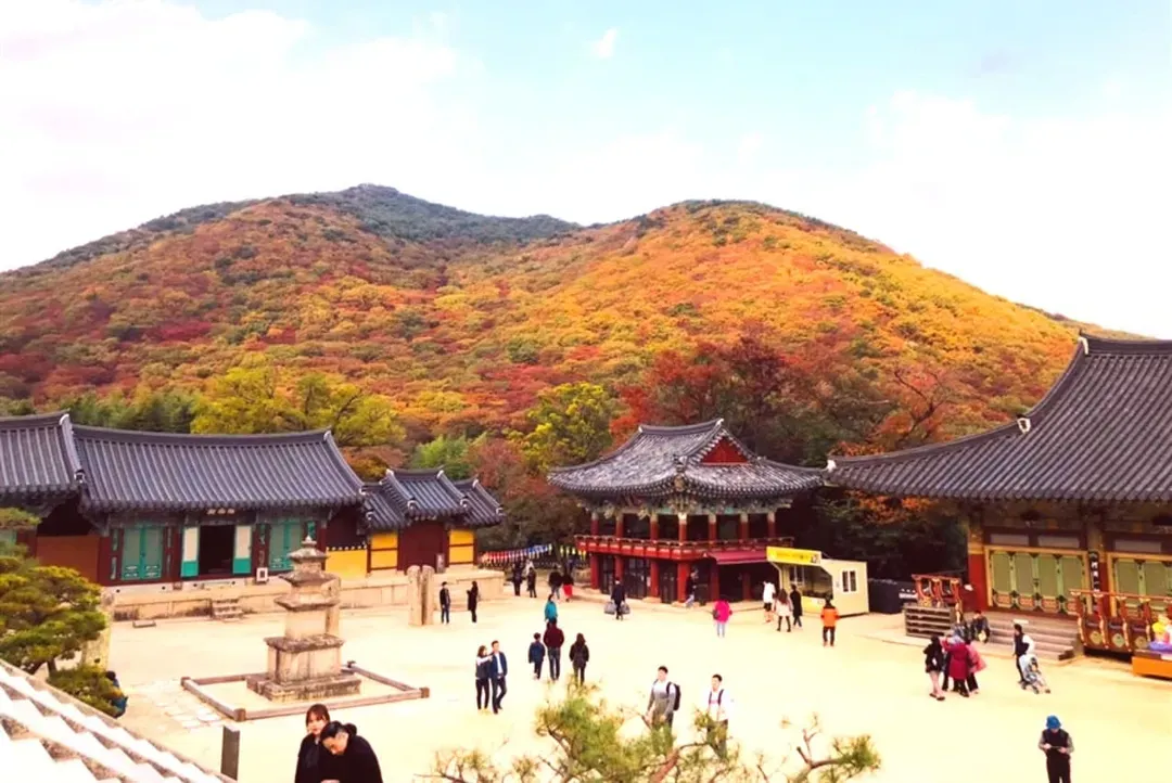釜山慶典｜釜山煙火節.慶州古都賞楓.天空膠囊列車.纜車楓紅五日｜星宇航空｜台中出發-6