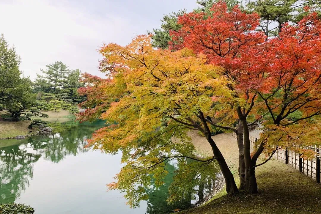 栗林公園