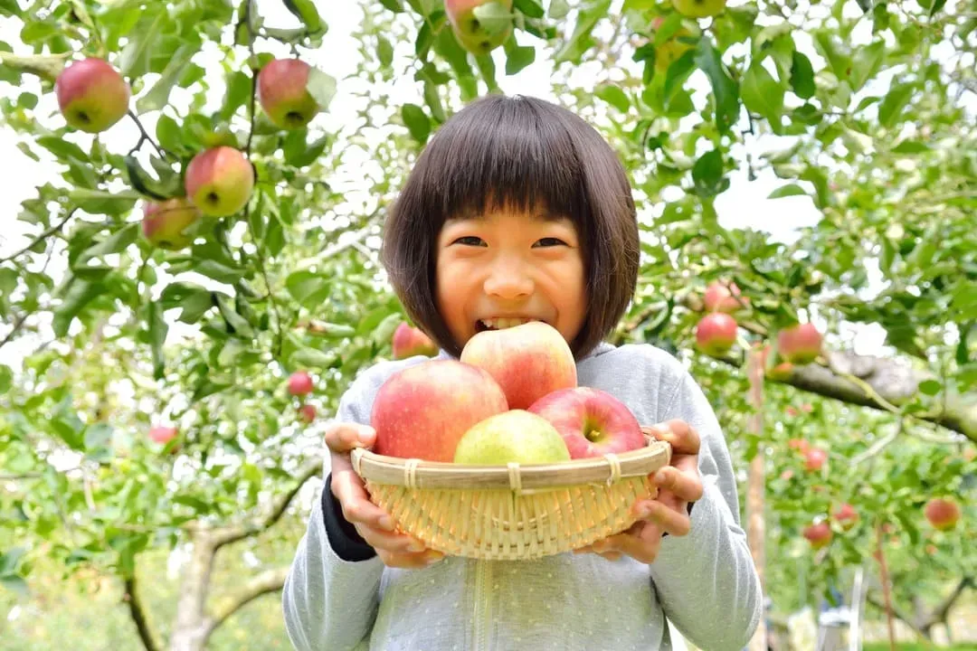 採果