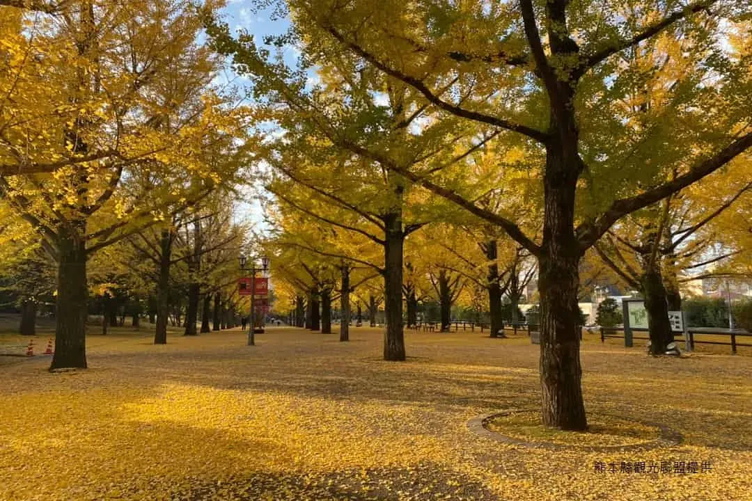 熊本縣觀光聯盟提供-熊本漫遊