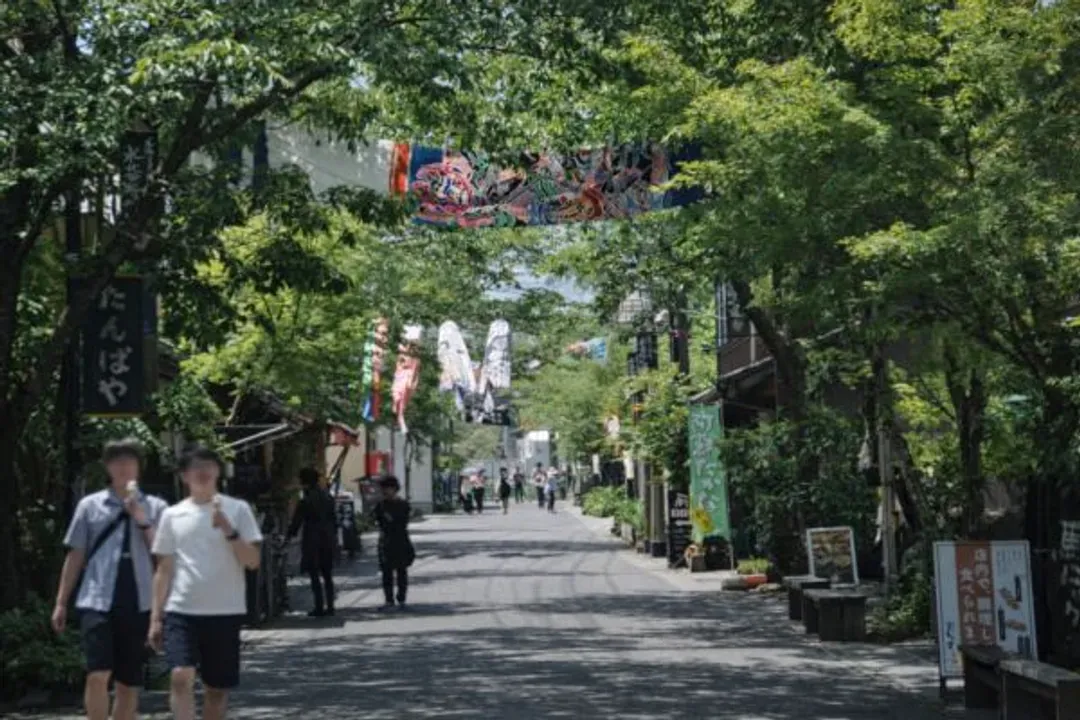 KHH九州鐵道旅行～秋日紅葉賞、九重夢大吊橋、熊本星野OMO5、由布院之森列車五日-9