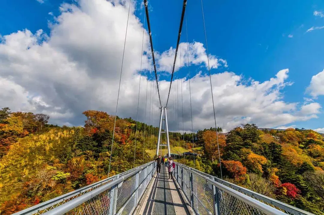 KHH九州鐵道旅行～秋日紅葉賞、九重夢大吊橋、熊本星野OMO5、由布院之森列車五日