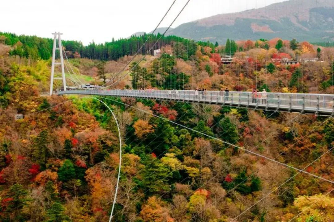 最美紅葉旅行