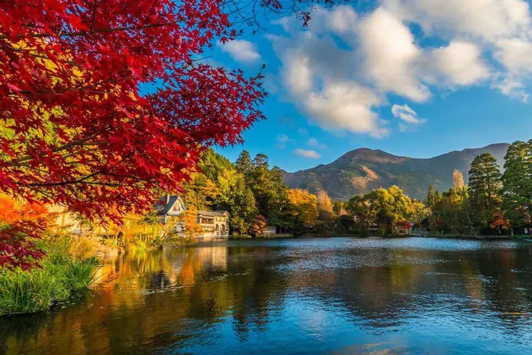 最美紅葉旅行