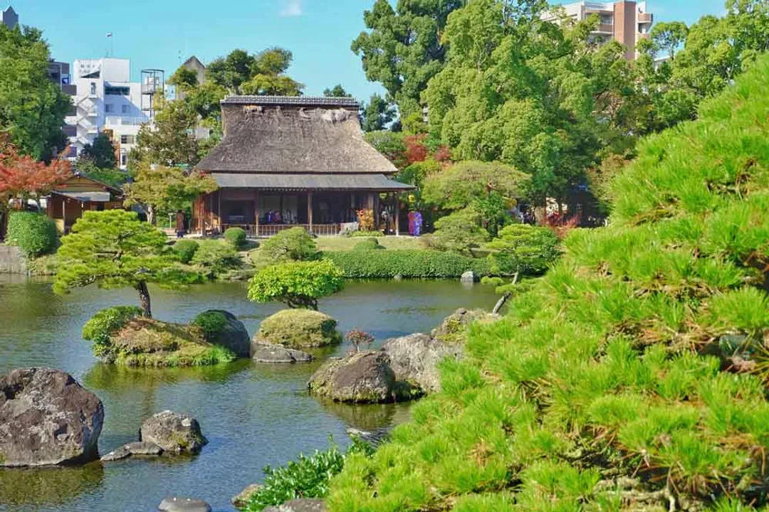 KHH九州鐵道旅行～秋日紅葉賞、九重夢大吊橋、熊本星野OMO5、由布院之森列車五日-11