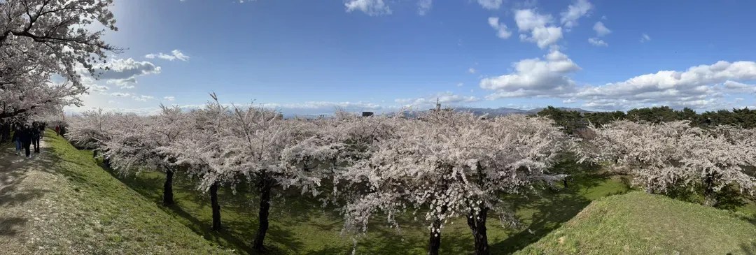 【北海道包車】札幌市區出發｜1-9人一日遊自由行-5
