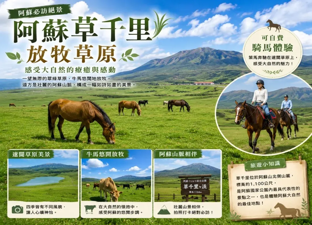 【限定出發】台中直飛經典北九州5日.別府溫泉.日田小京都.自然動物園.旅人列車.海之中道海濱花卉-8