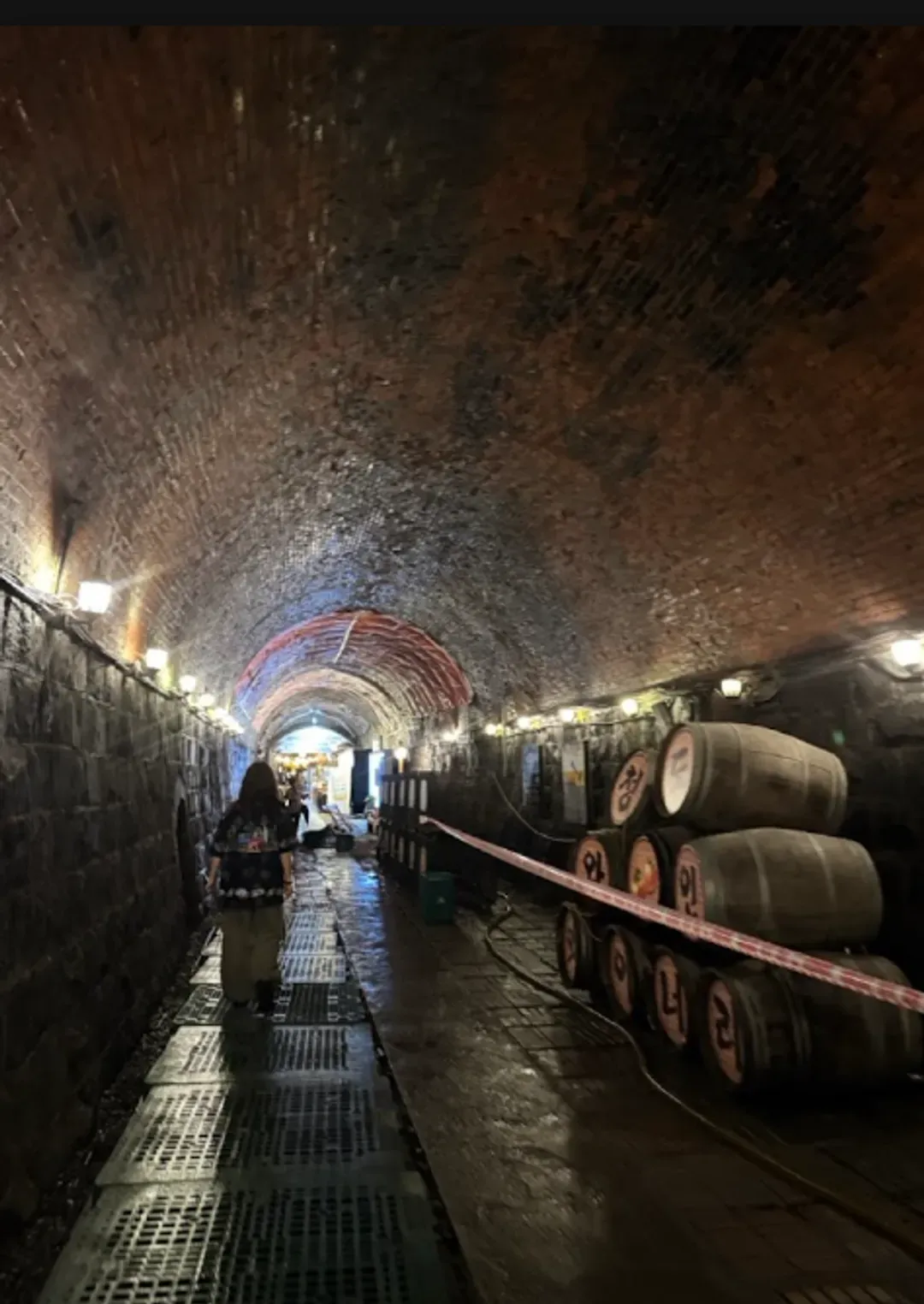 清道柿子酒隧道(Wine Tunnel)