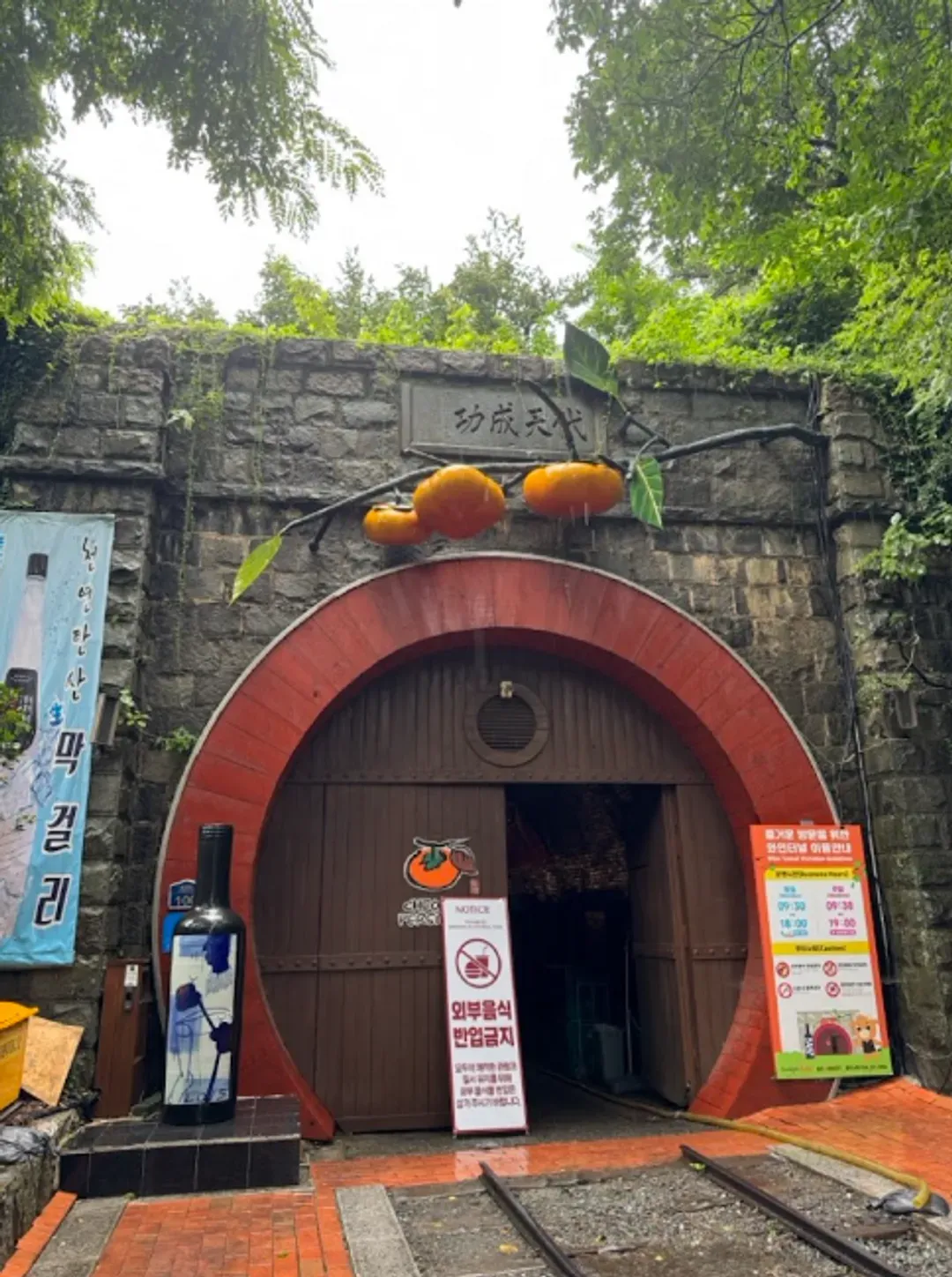 清道柿子酒隧道(Wine Tunnel)