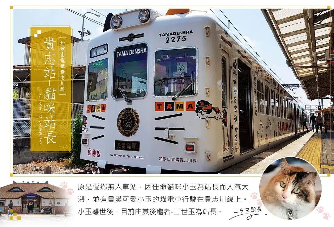 【高雄出發．關西私旅時光６日】美山合掌村、嵐山、和歌山城、貓咪電鐵、二日自由活動[含稅]