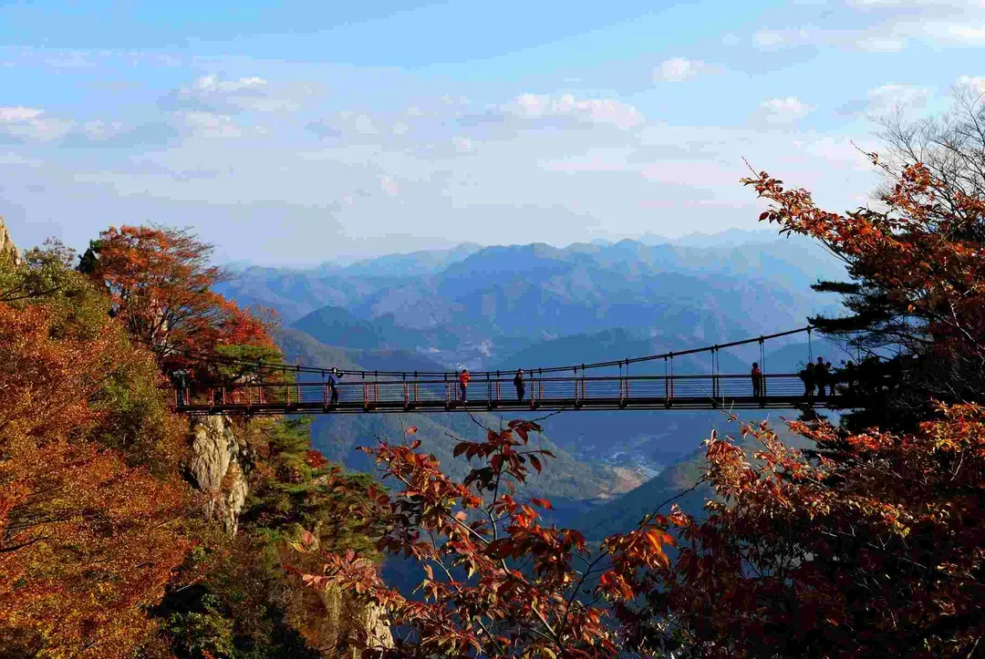大芚山金剛吊橋