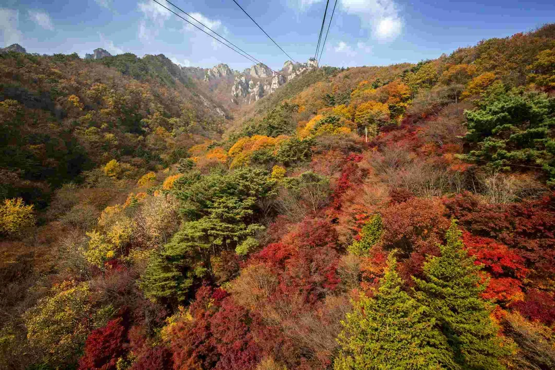 大芚山山景