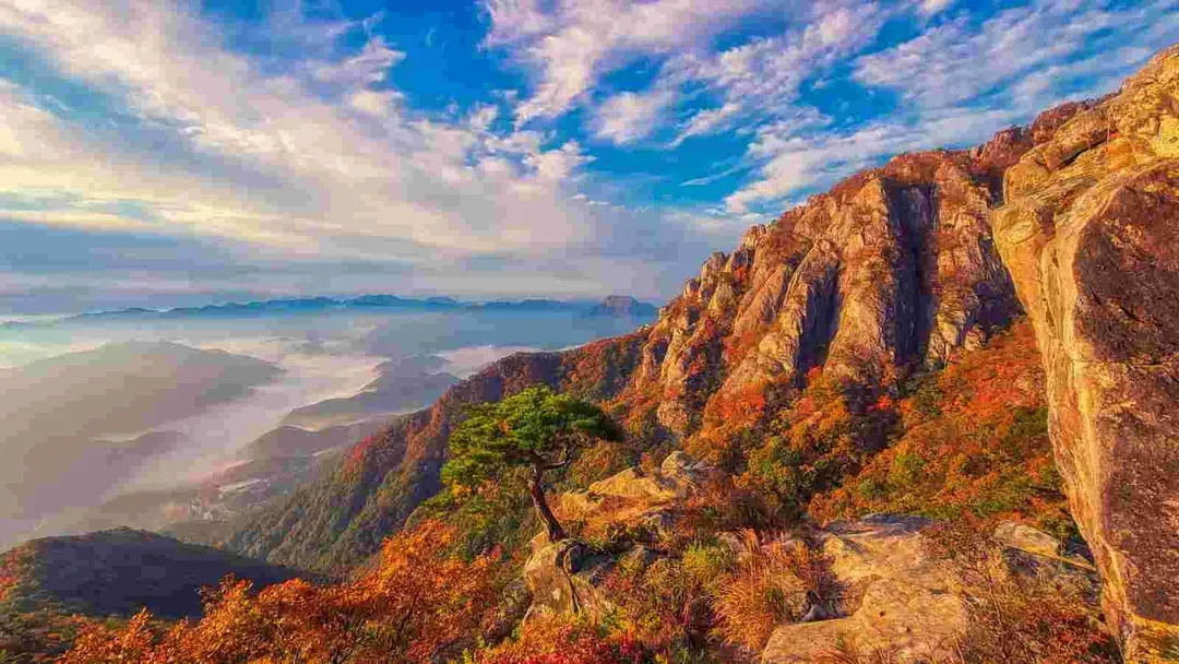 大芚山山景