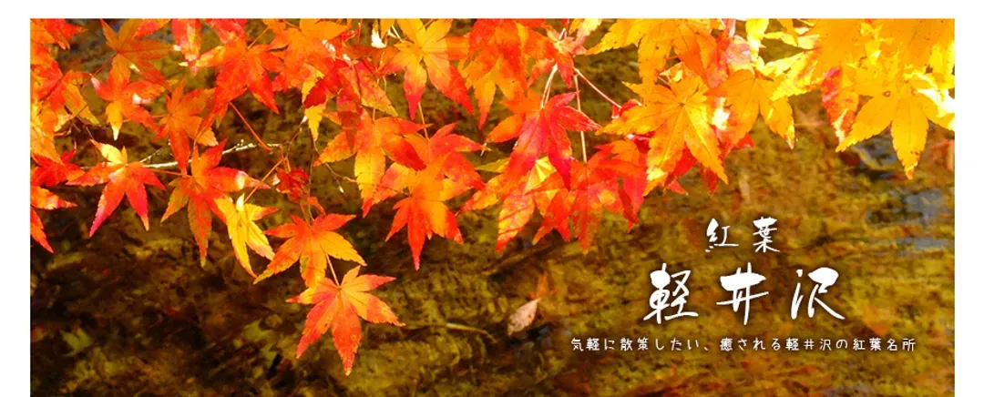 【秋彩日光小東北秘境７日】袋田瀑布、日光東照宮、合掌村大內宿、會津鐵道、秘湯溫泉[含稅簽]-11