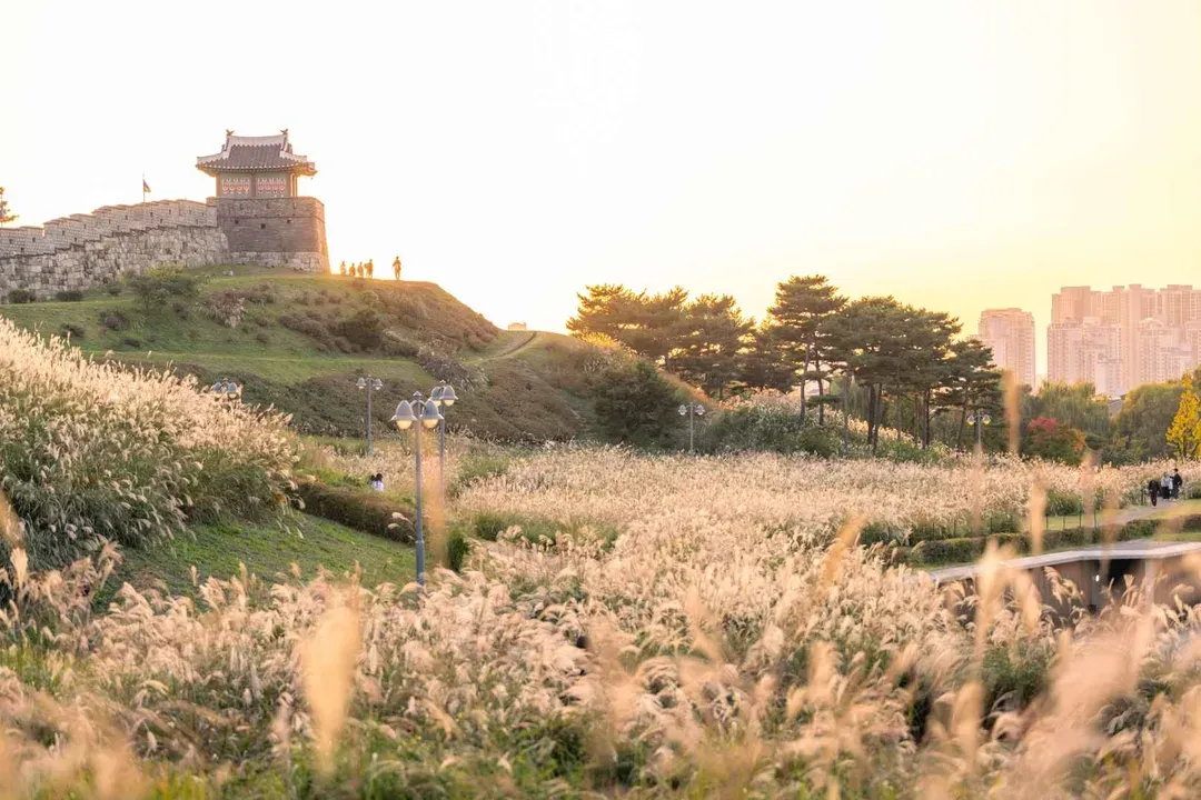 水原華城