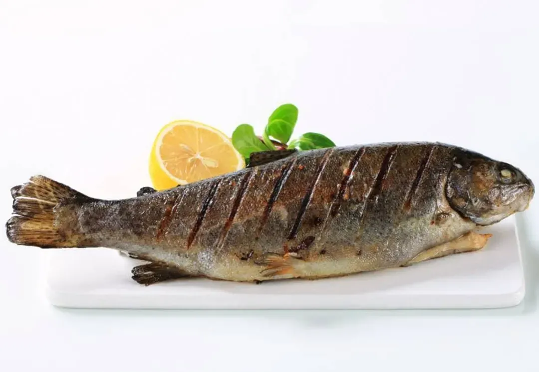 鱒魚