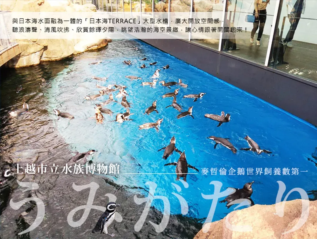 undefined-1