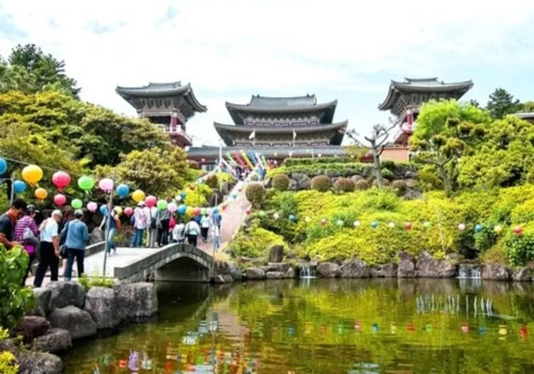 濟州好好逛｜倫敦貝果.蓮洞商圈.東門市場.汗蒸幕.萬丈窟.山茶花之丘.採橘趣(一站購物彩妝)5日