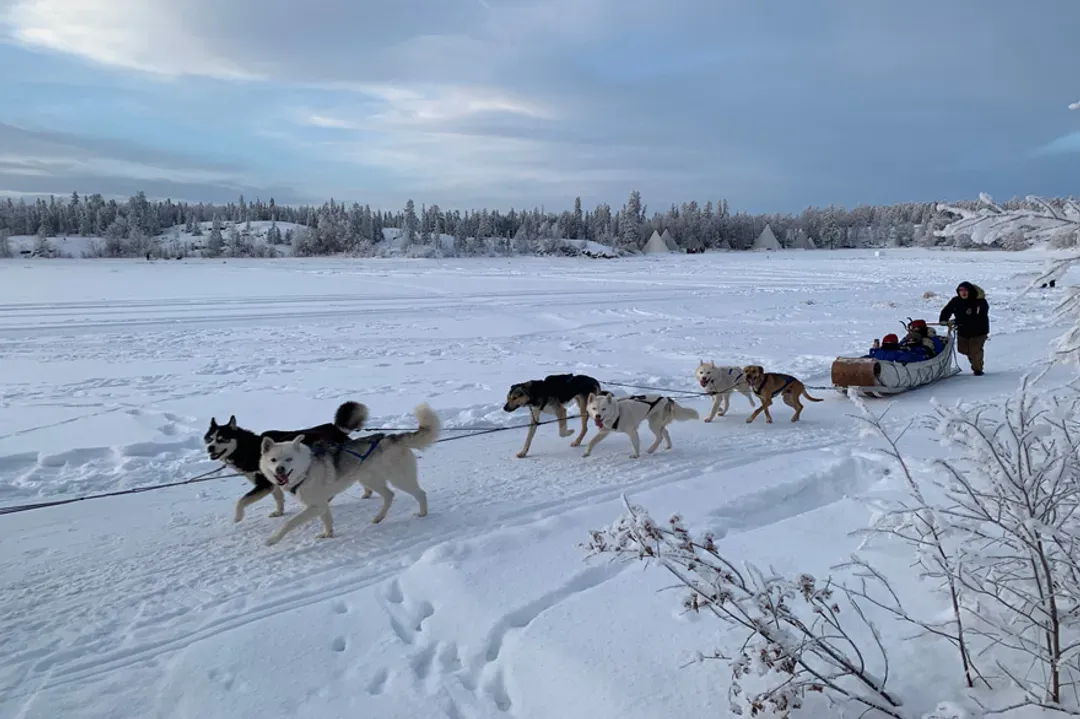 狗拉雪橇