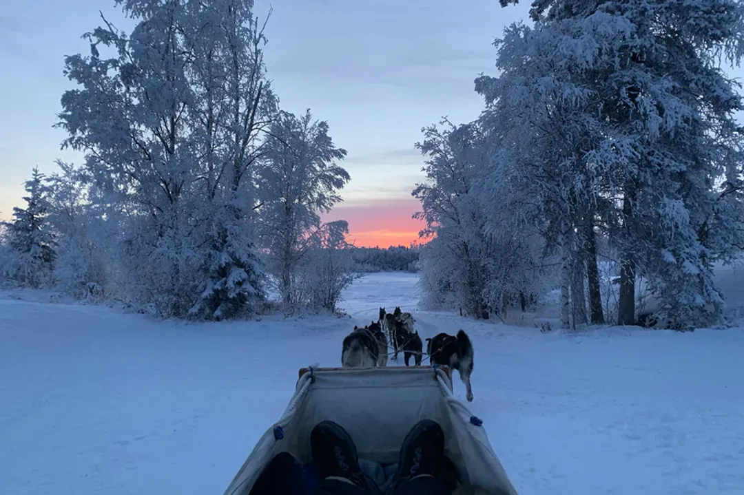 dog sledding