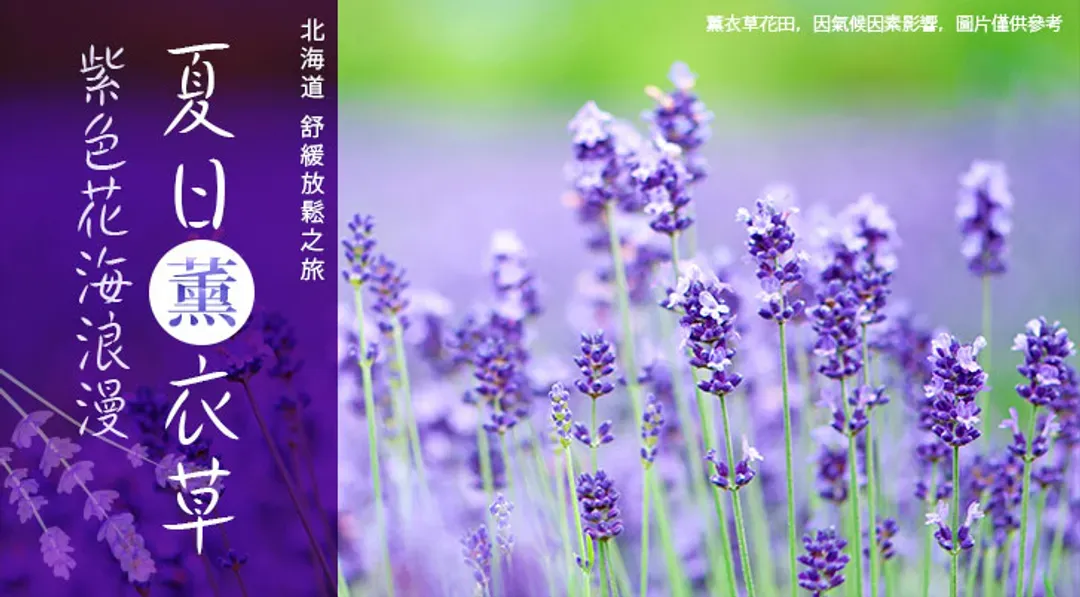 undefined-1