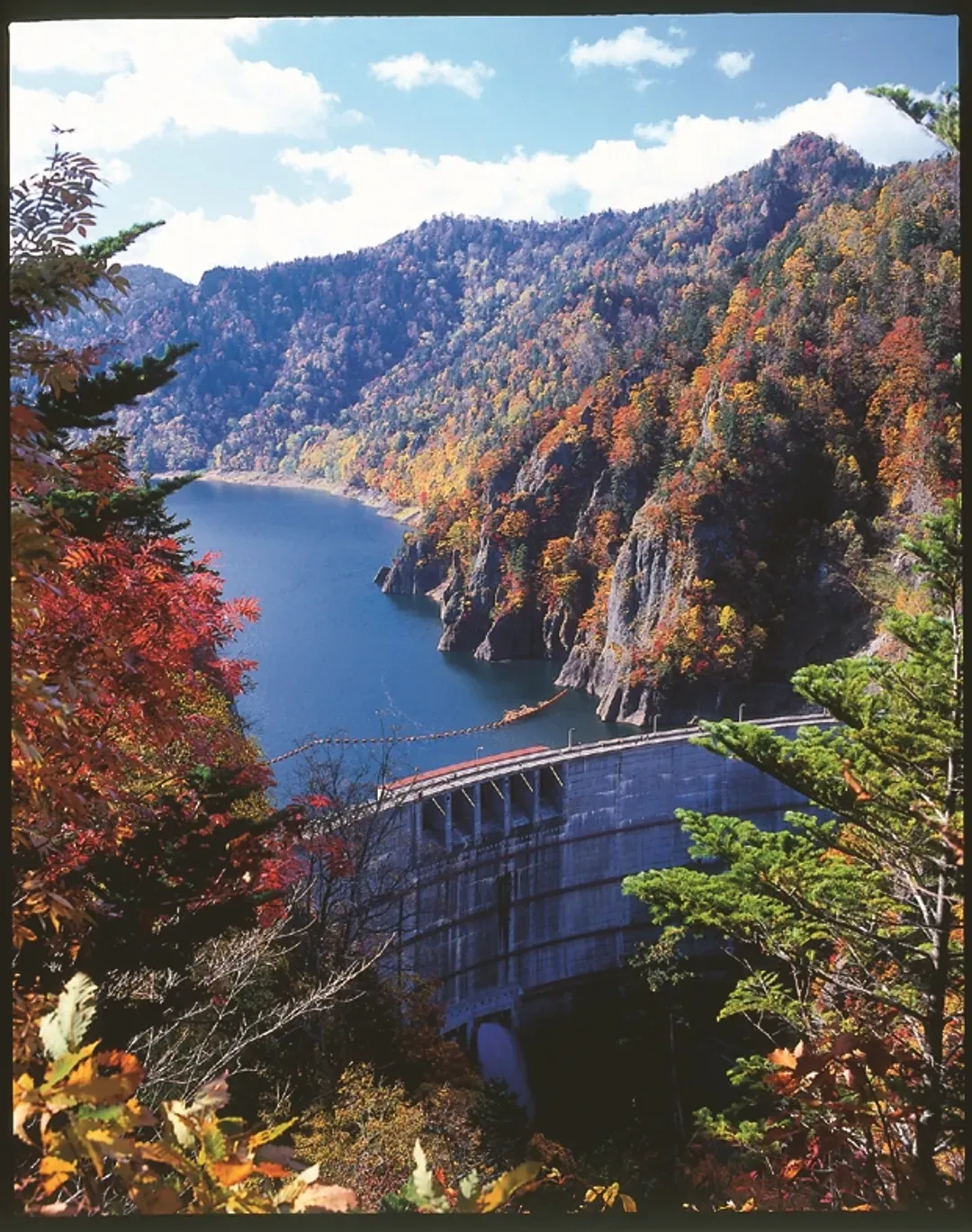 秋楓北海道｜函館夜景.企鵝遊行.紅葉豐平峽.小樽散策.三大蟹.星級酒店.溫泉六日｜【高雄直飛】-11