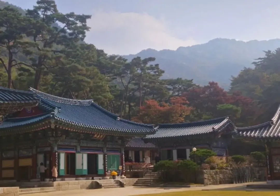 旅展優惠｜韓楓再起｜首爾｜楓紅湖景.秋天金黃銀杏街道.楓葉隧道.絕美極光道.弘大明洞半日逛五日-6