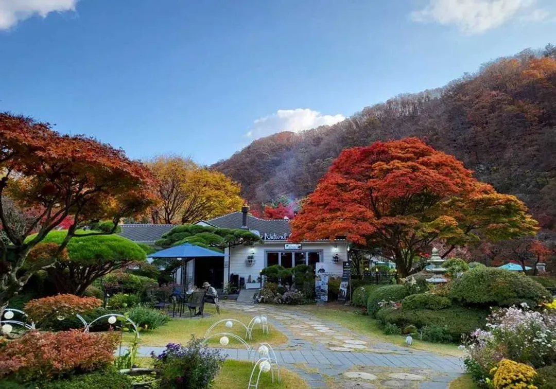 賞楓．賞銀杏｜首爾｜兩晩五星飯店．三岳山湖水纜車．南怡島美境．羊駝世界．秘景庭園．月尾島海鷗船(一站彩妝)五日｜高雄