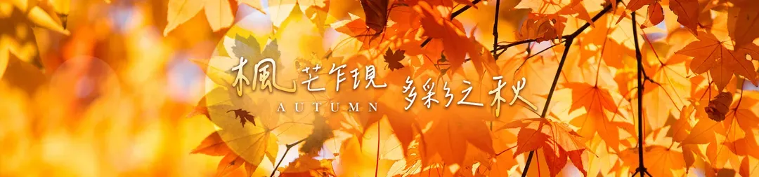 圖片Alt