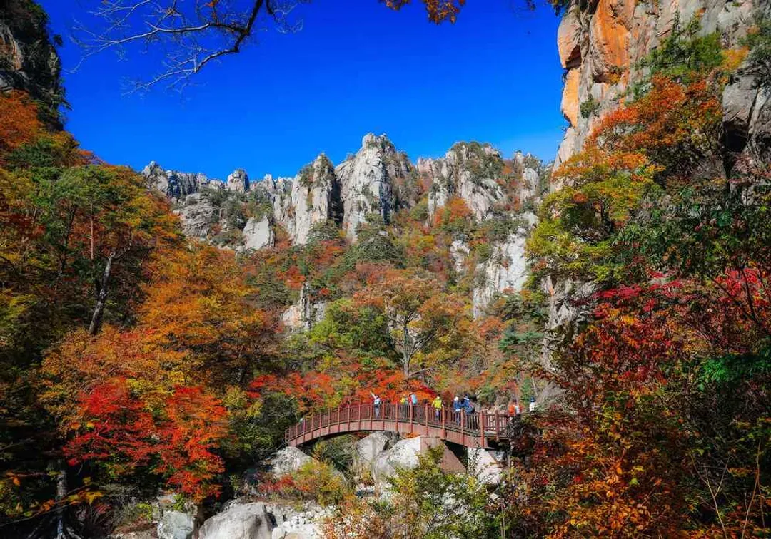 自然景觀