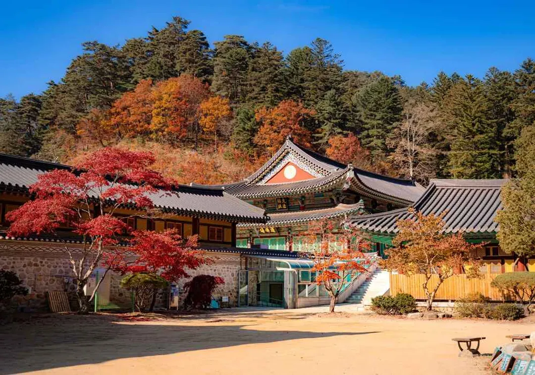 月精寺