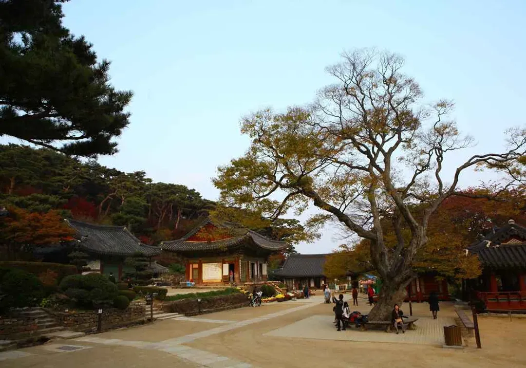 推薦景點