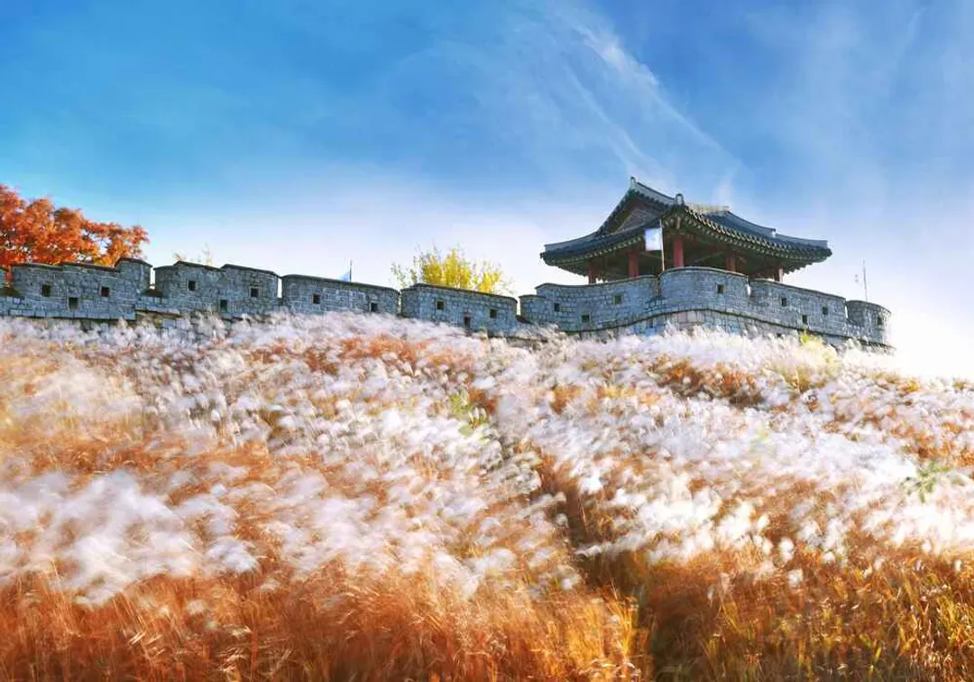 楓紅首爾｜高雄出發｜升等一晚五星.古廟.和談林.星空圖書館2.0.和平愛妓峰.德壽宮石牆路.西村韓屋漫遊.明洞商圈(一站彩妝購物)5日