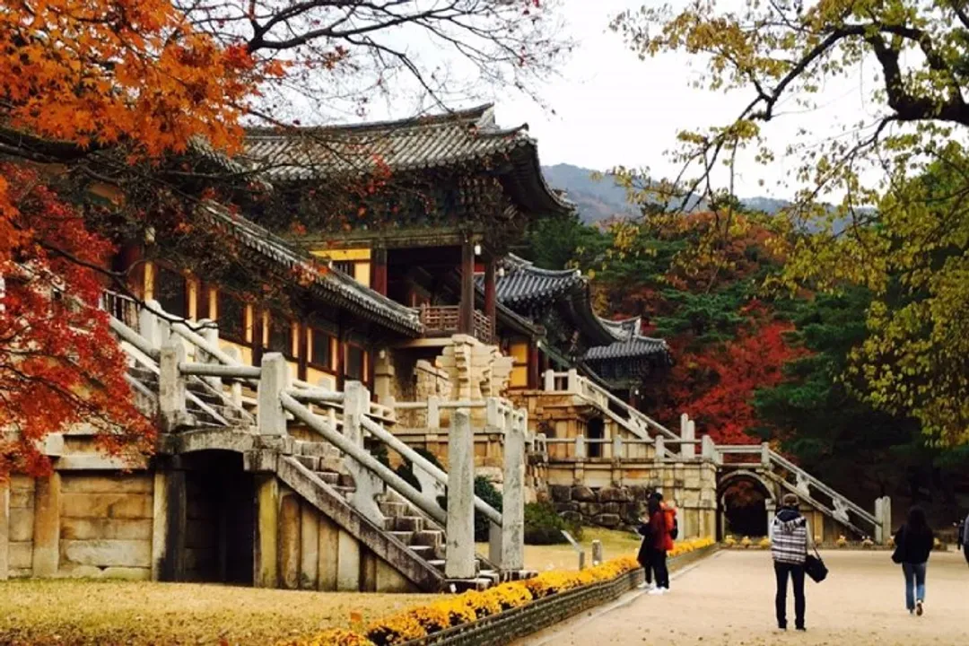 釜山慶州賞楓｜賞楓賞銀杏.金井山梵魚寺.楓紅纜車.兩晚升等住宿.大王岩公園.天空膠囊(一站彩妝)五日-6