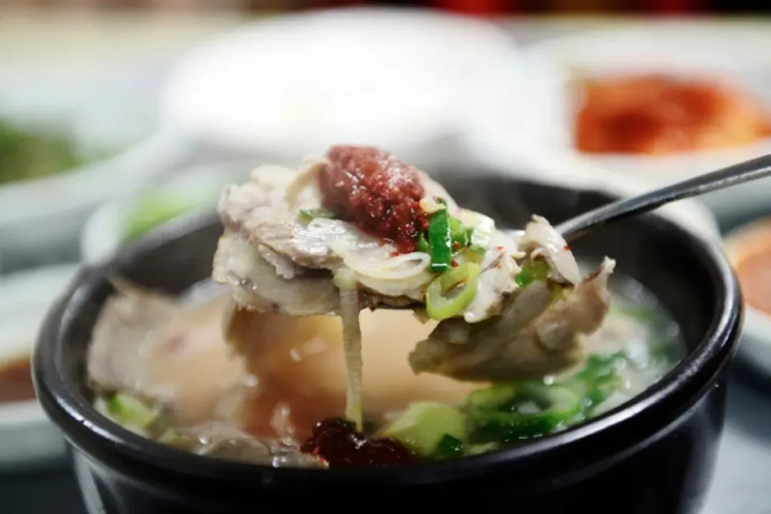 釜山道地豬肉湯飯