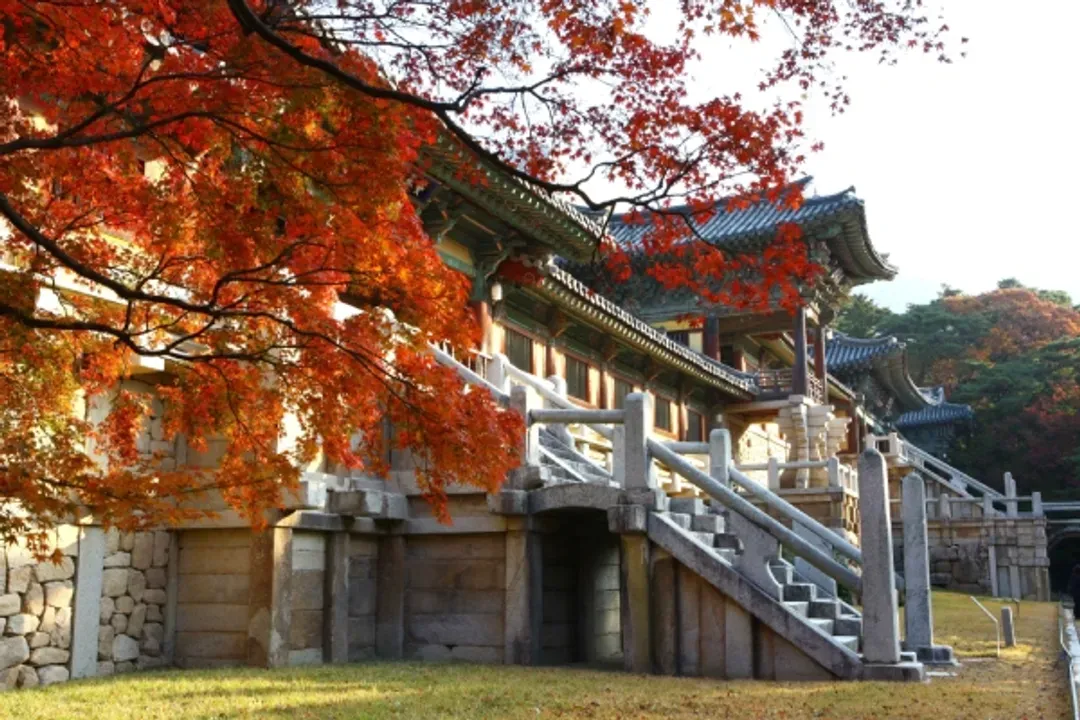佛國寺賞楓